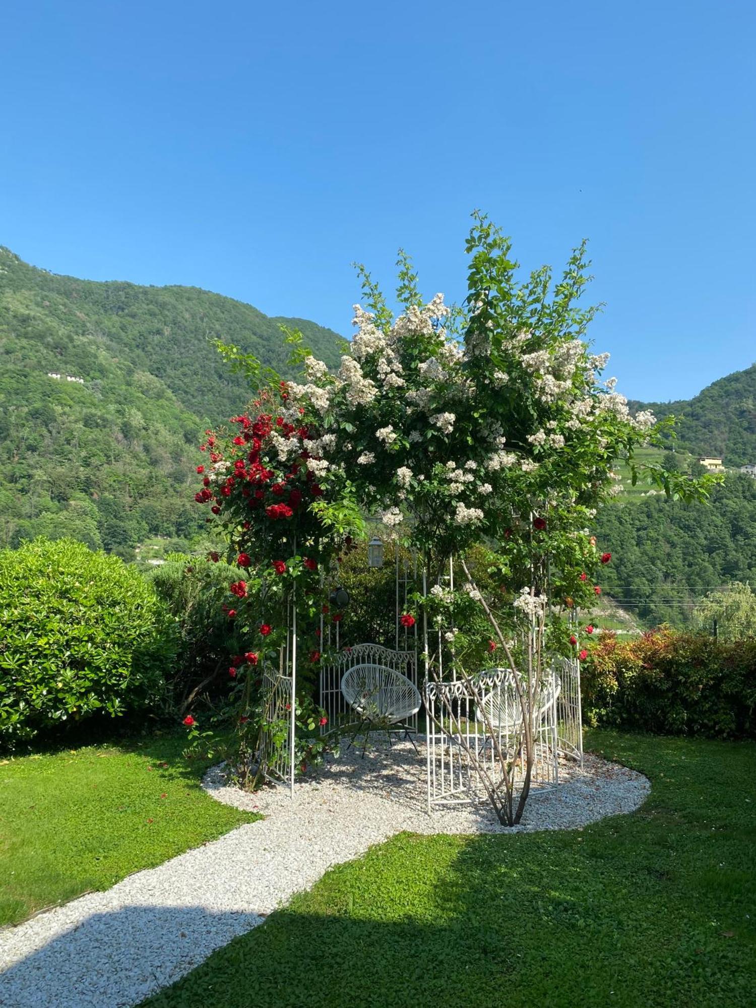 Bed And Breakfast Casa Del Nonno Adrara San Rocco Εξωτερικό φωτογραφία